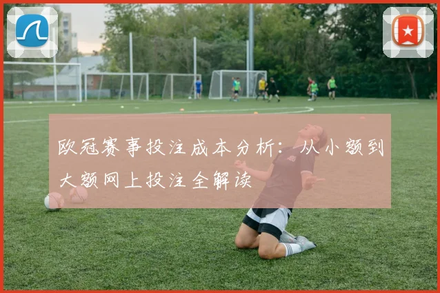 欧冠赛事投注成本分析：从小额到大额网上投注全解读